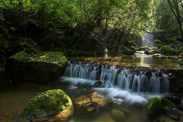 成都抽油烟机修理哪家技术好,上海餐厅抽油烟机修理哪家公司最专业